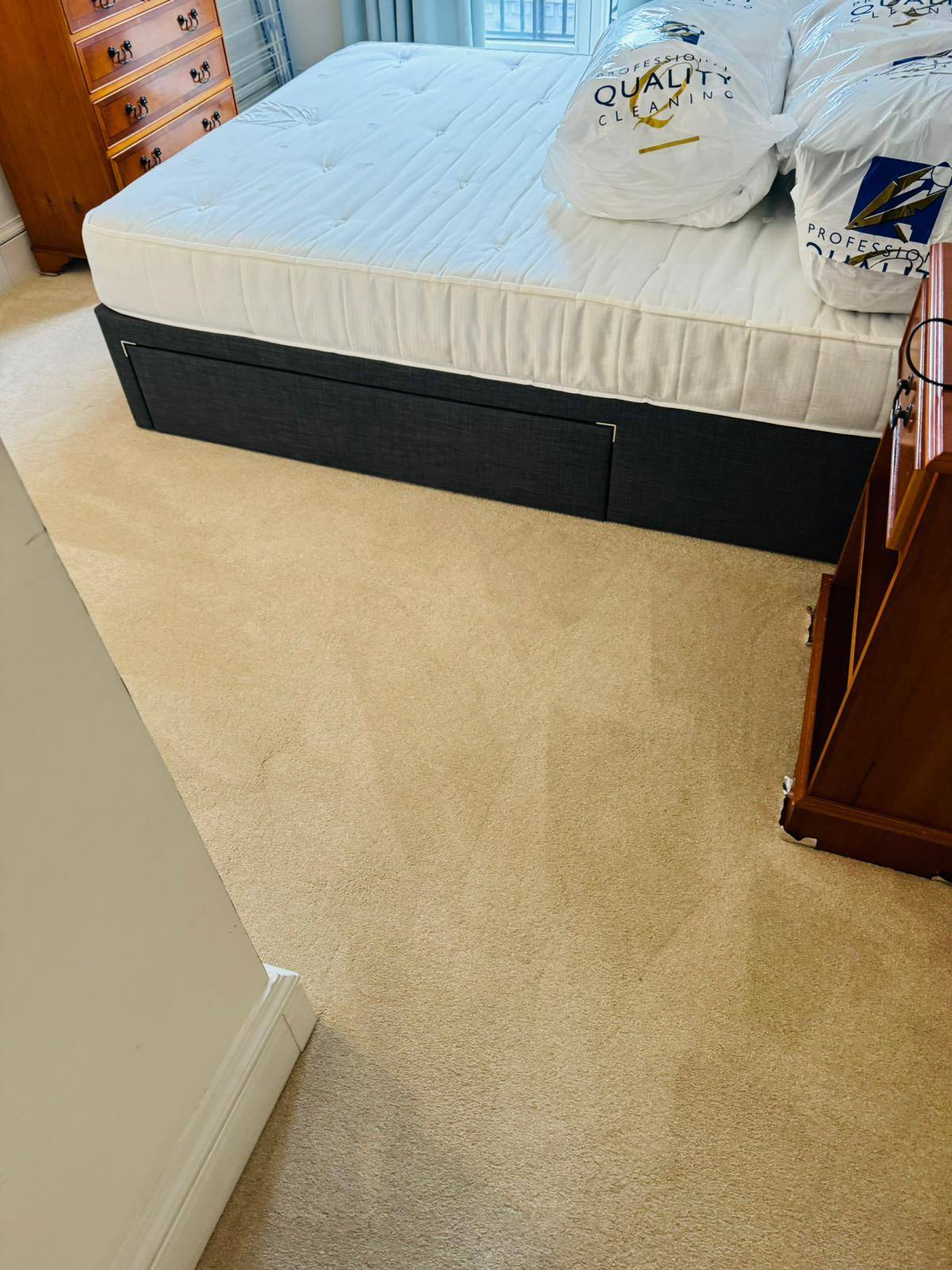 Carpet Shampoo & Steam Cleaning - photo 11