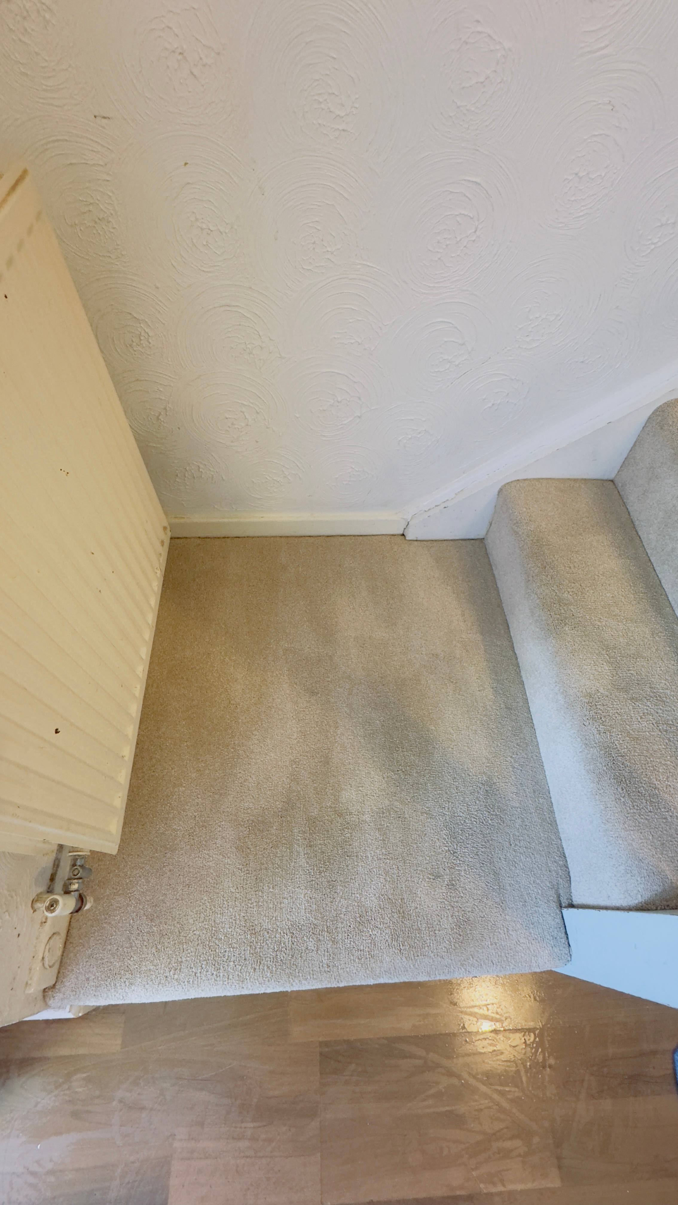 Carpet Shampoo & Steam Cleaning - photo 3