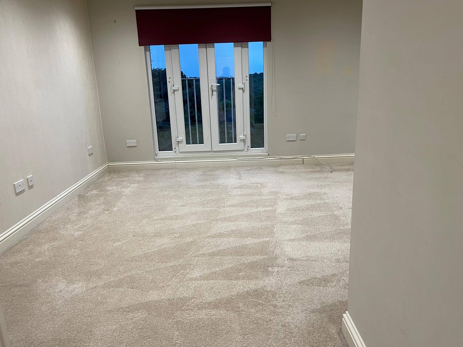 Carpet Shampoo & Steam Cleaning - photo 7