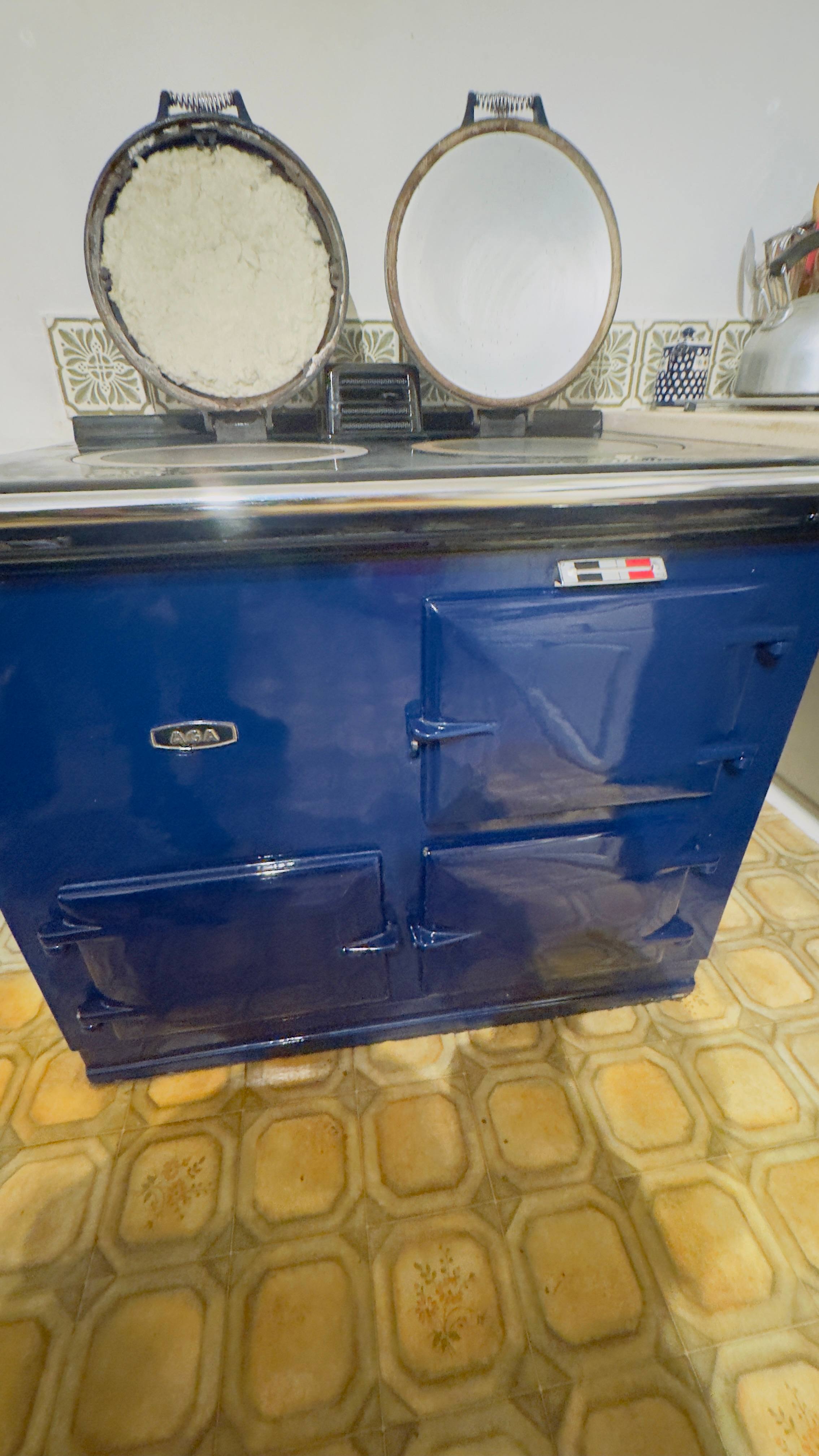 Upholstery & Appliance Deep Cleaning - photo 8