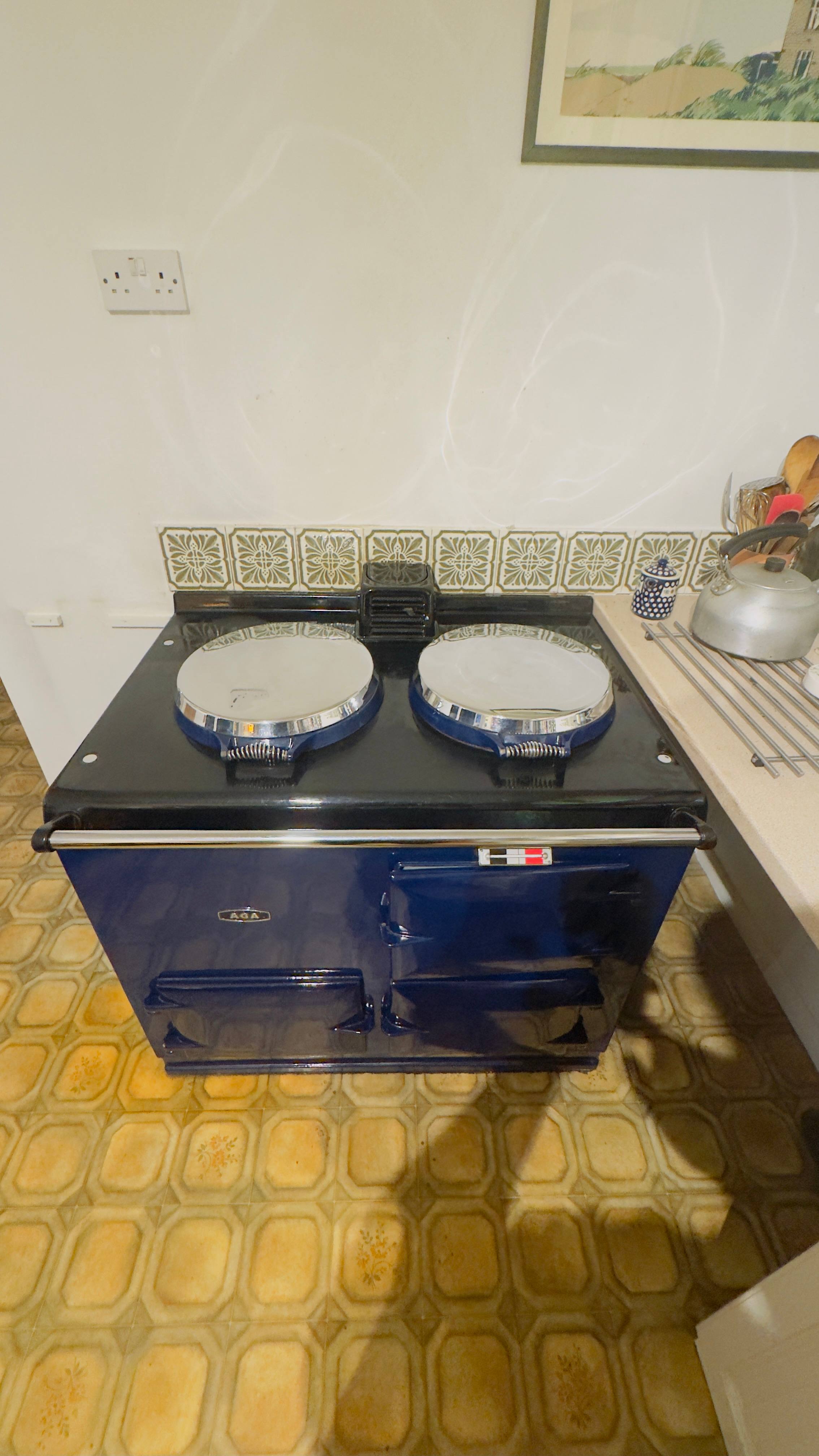Upholstery & Appliance Deep Cleaning - photo 9